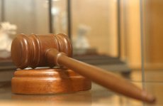 Волгоградская полиция раскрыла аферу с землей природного парка
