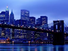 -           ,   Cushman & Wakefield.