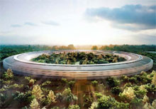 Apple    -   : ""   