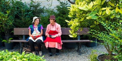 Изображение: Из-за чего судятся дачники? Из-за чего судятся дачники?