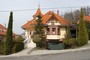            2009 