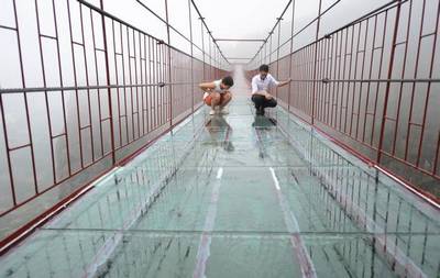 Новый самый длинный стеклянный мост в Китае попытались разбить кувалдой
