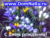 C    DomNaRu.ru!
